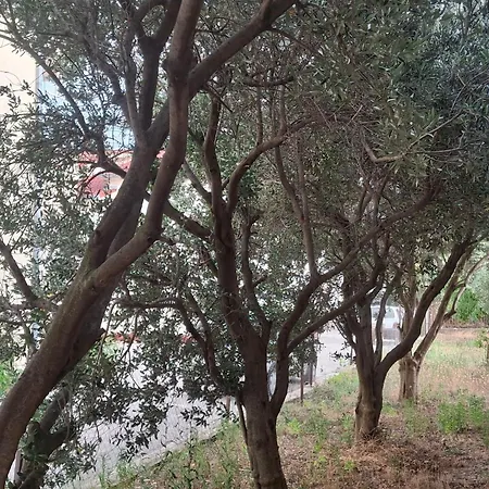 Karma *